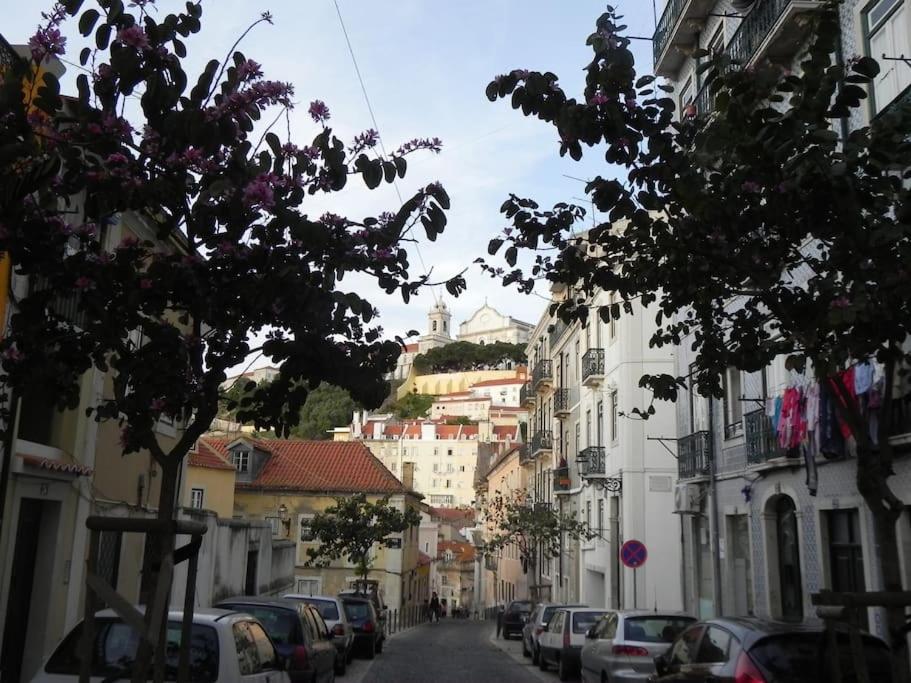 Apartament To+1 Dowtown *